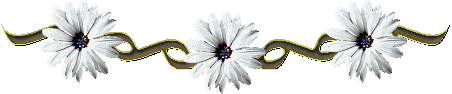 492373.gif